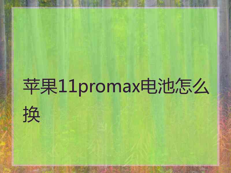 苹果11promax电池怎么换