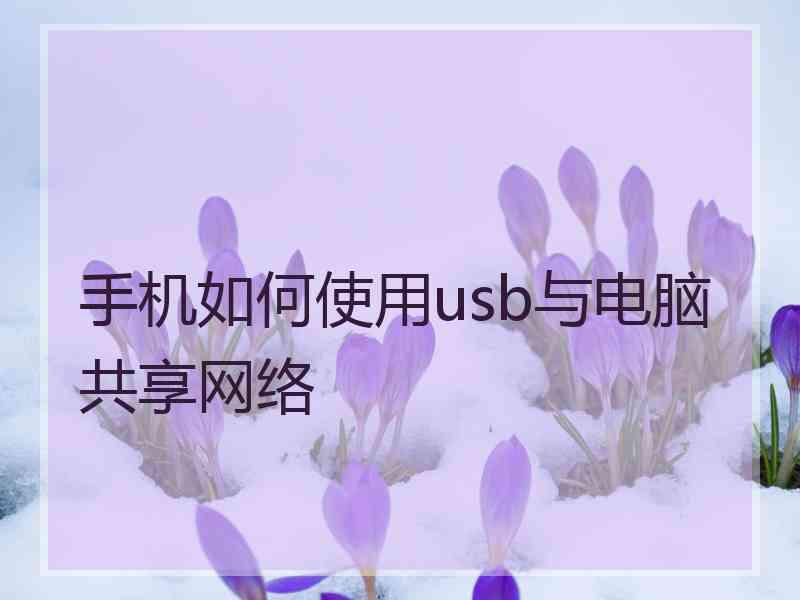 手机如何使用usb与电脑共享网络