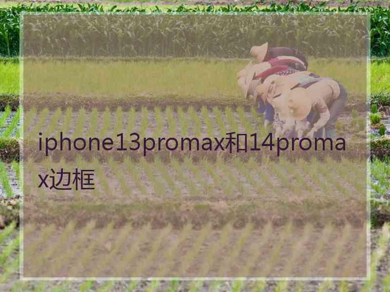 iphone13promax和14promax边框