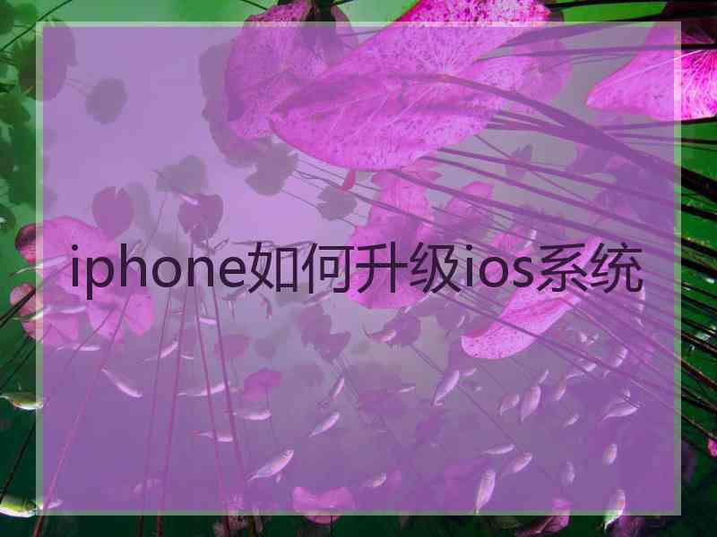 iphone如何升级ios系统