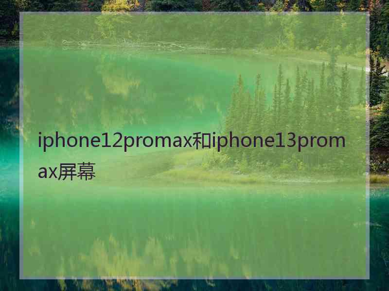 iphone12promax和iphone13promax屏幕