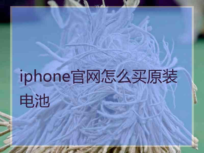 iphone官网怎么买原装电池