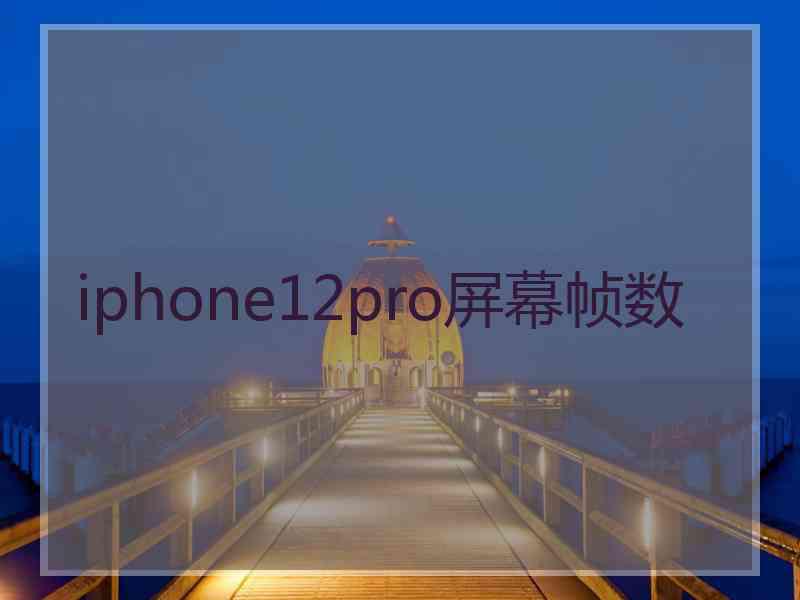 iphone12pro屏幕帧数