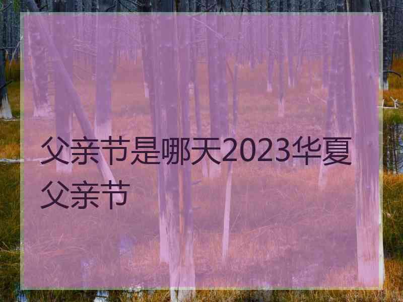 父亲节是哪天2023华夏父亲节