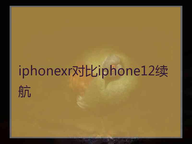 iphonexr对比iphone12续航