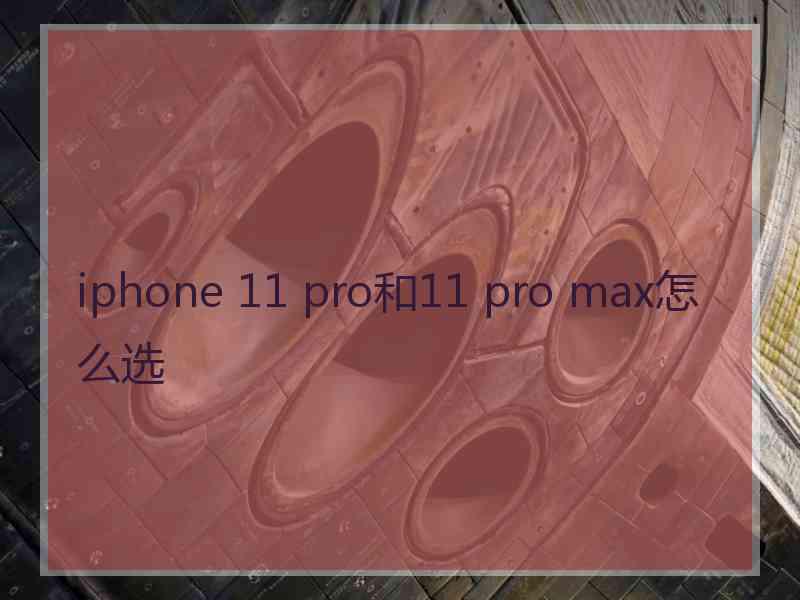 iphone 11 pro和11 pro max怎么选