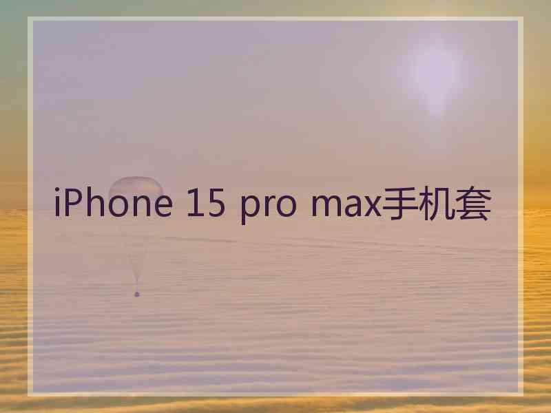 iPhone 15 pro max手机套