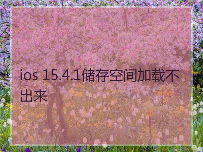 ios 15.4.1储存空间加载不出来