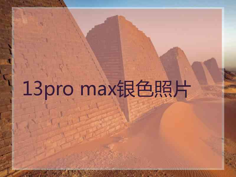 13pro max银色照片