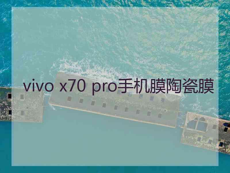 vivo x70 pro手机膜陶瓷膜
