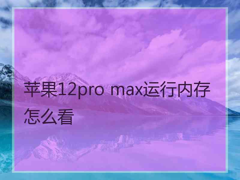 苹果12pro max运行内存怎么看