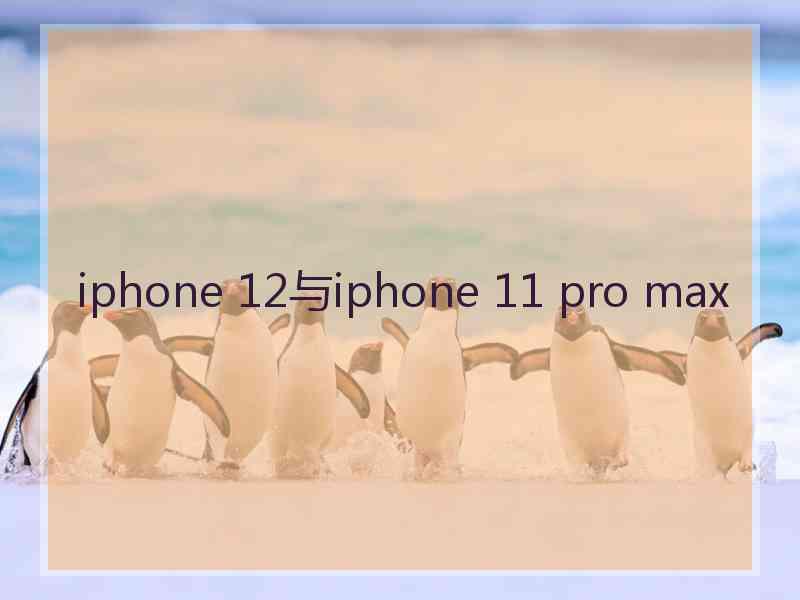 iphone 12与iphone 11 pro max