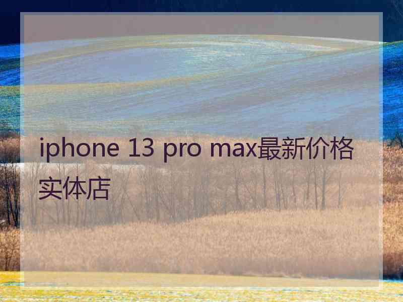 iphone 13 pro max最新价格实体店