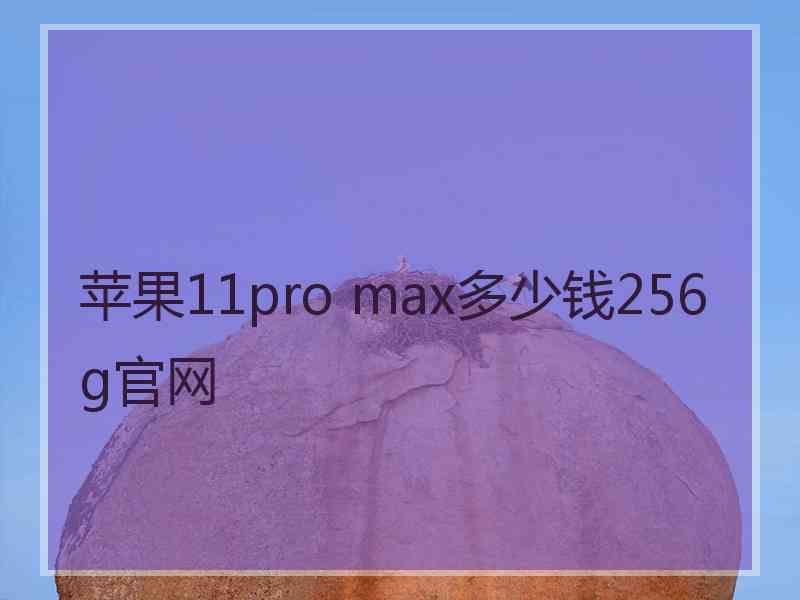 苹果11pro max多少钱256g官网