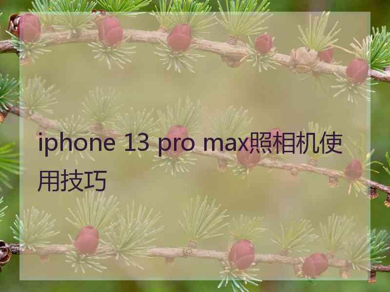 iphone 13 pro max照相机使用技巧