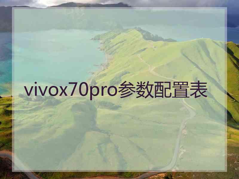 vivox70pro参数配置表