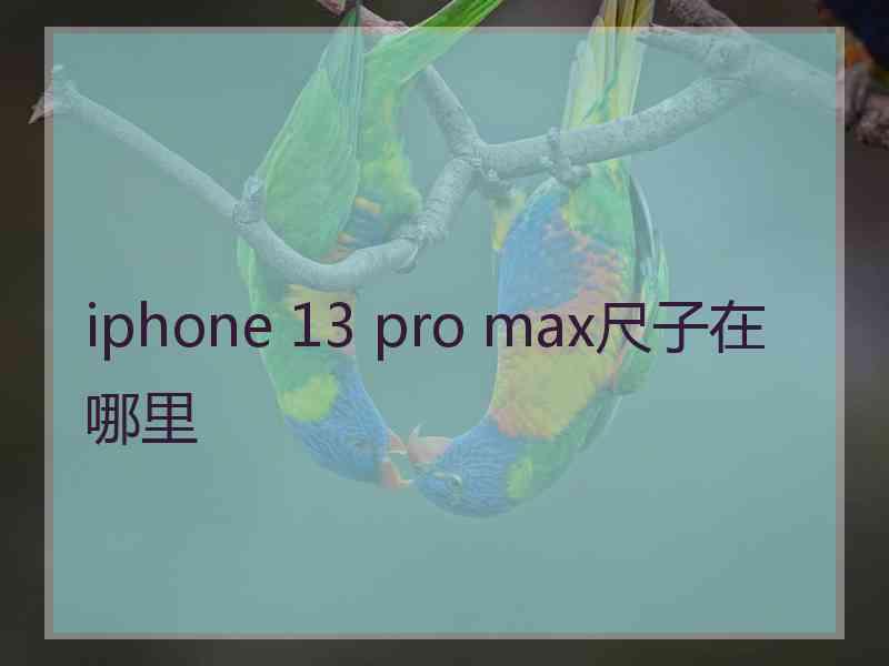 iphone 13 pro max尺子在哪里