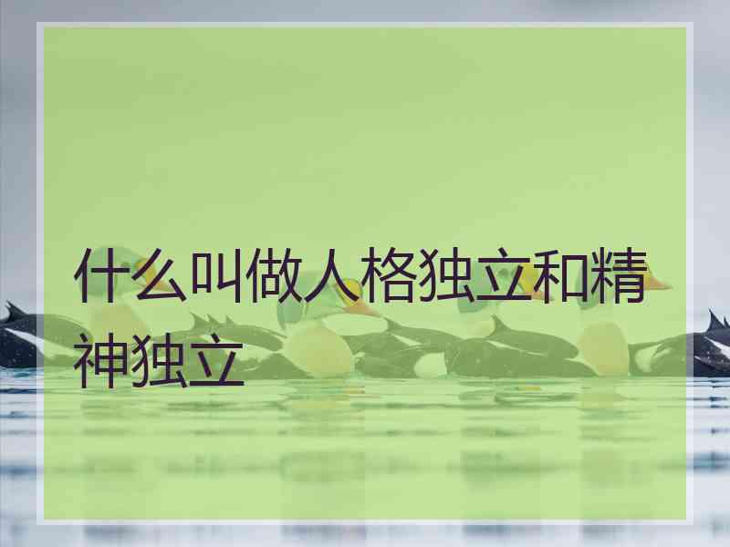 什么叫做人格独立和精神独立