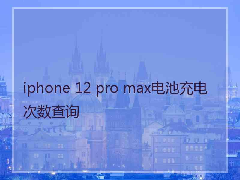 iphone 12 pro max电池充电次数查询