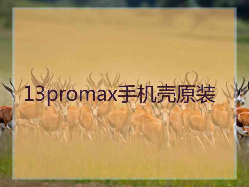 13promax手机壳原装