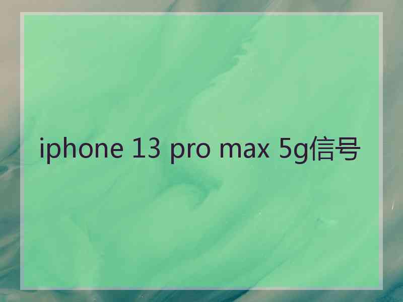 iphone 13 pro max 5g信号