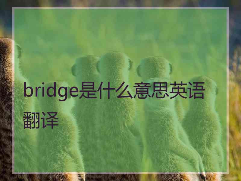 bridge是什么意思英语翻译