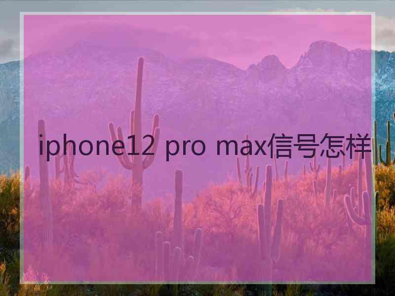 iphone12 pro max信号怎样