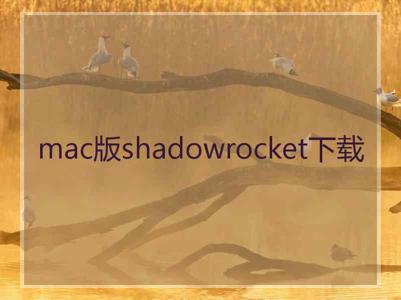 mac版shadowrocket下载