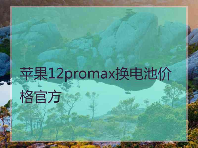 苹果12promax换电池价格官方