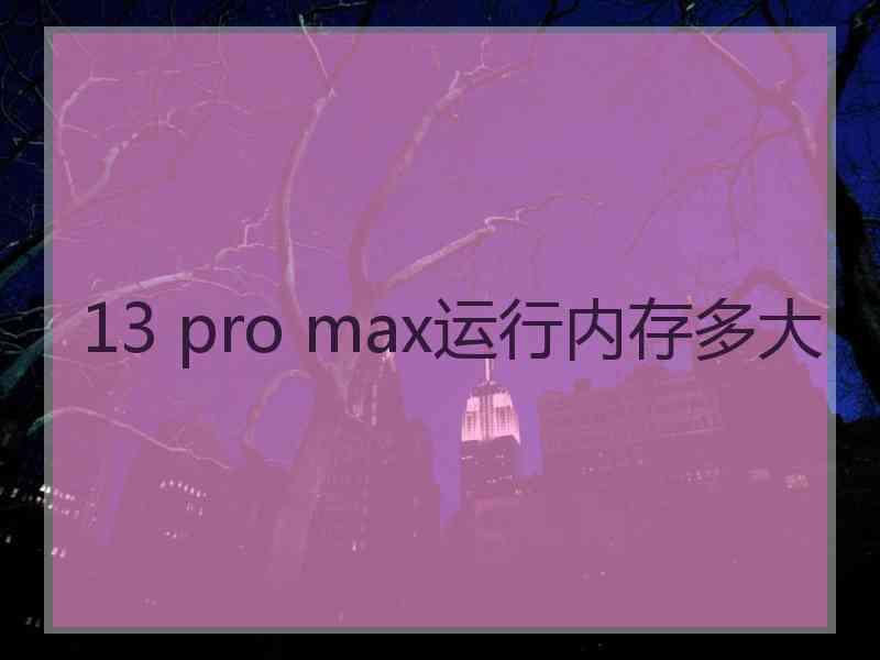 13 pro max运行内存多大