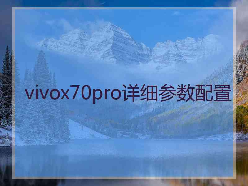 vivox70pro详细参数配置