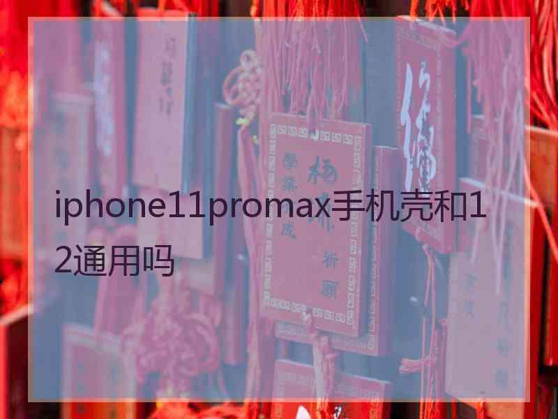 iphone11promax手机壳和12通用吗