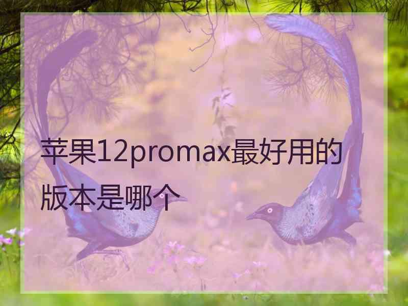 苹果12promax最好用的版本是哪个