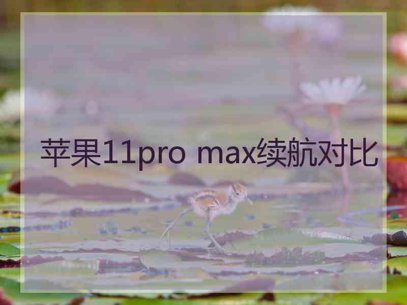 苹果11pro max续航对比