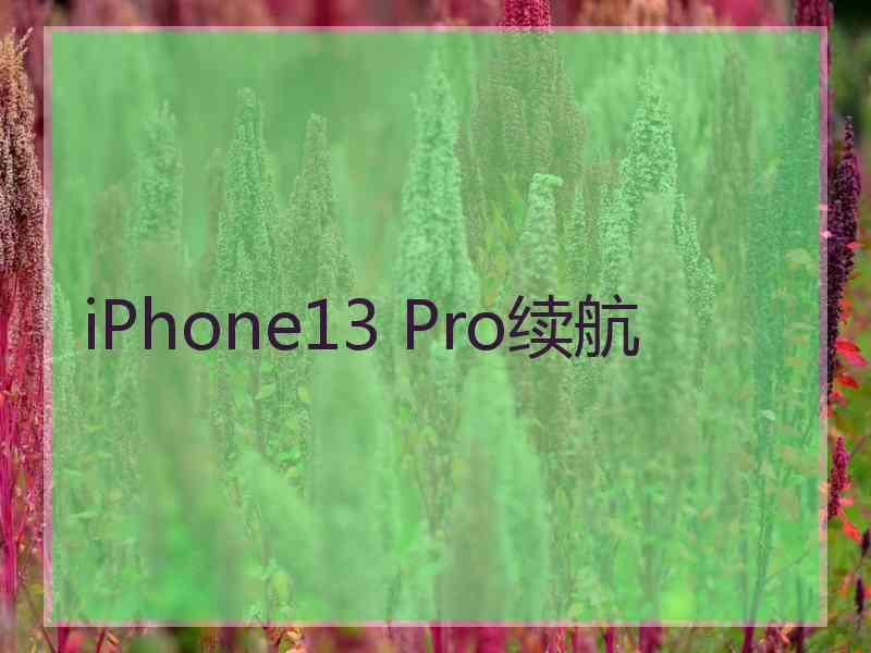 iPhone13 Pro续航