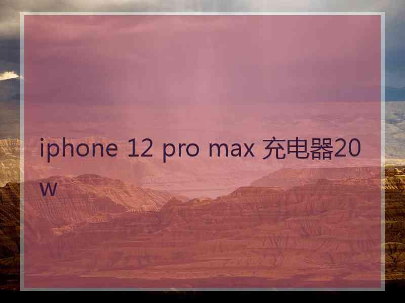 iphone 12 pro max 充电器20 w