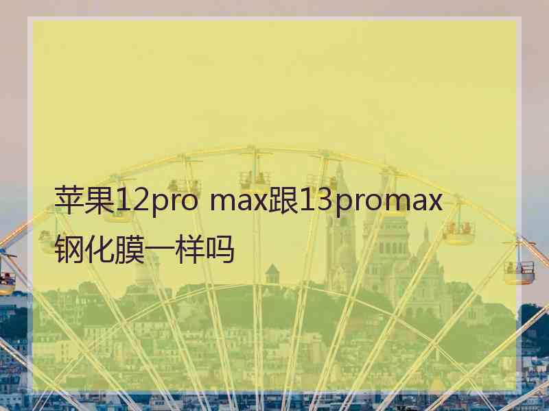 苹果12pro max跟13promax 钢化膜一样吗