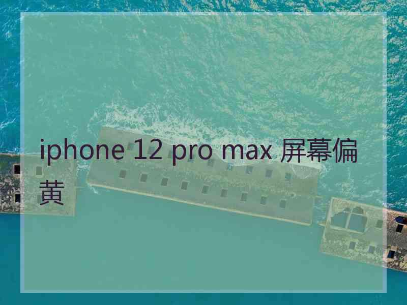 iphone 12 pro max 屏幕偏黄