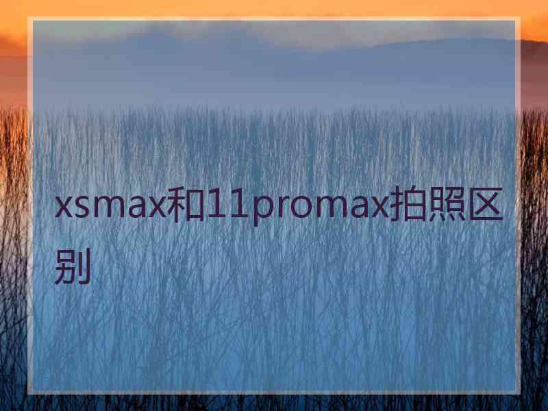 xsmax和11promax拍照区别