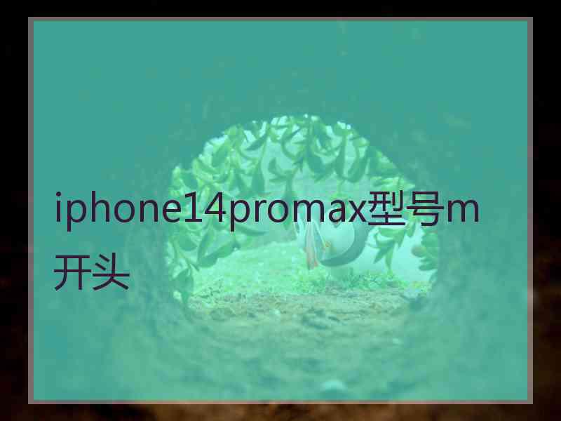 iphone14promax型号m开头