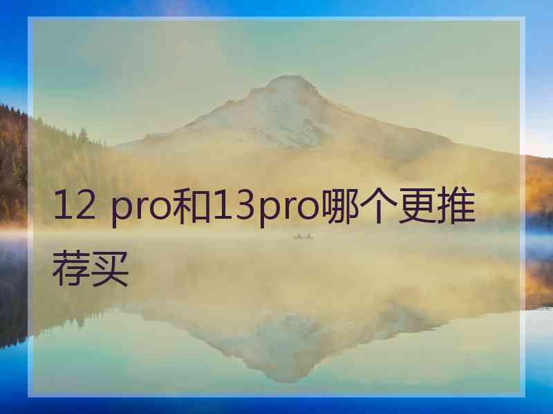 12 pro和13pro哪个更推荐买