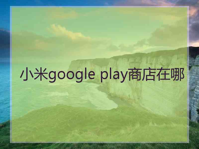 小米google play商店在哪