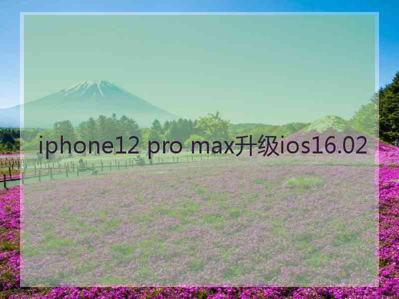 iphone12 pro max升级ios16.02