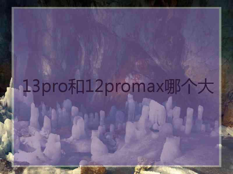 13pro和12promax哪个大