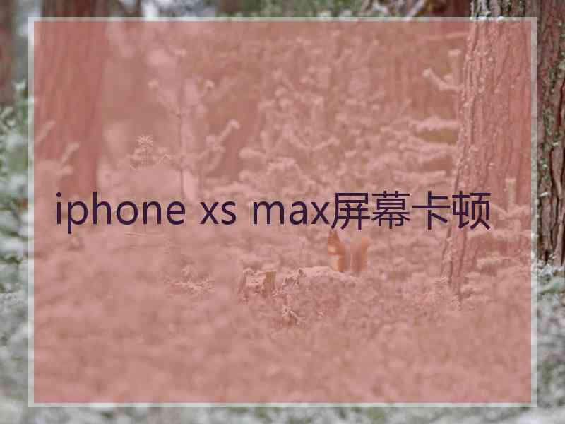 iphone xs max屏幕卡顿