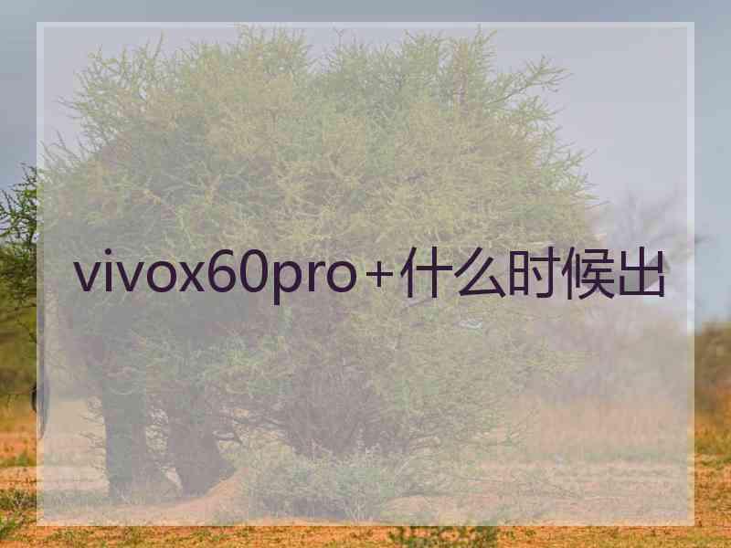 vivox60pro+什么时候出