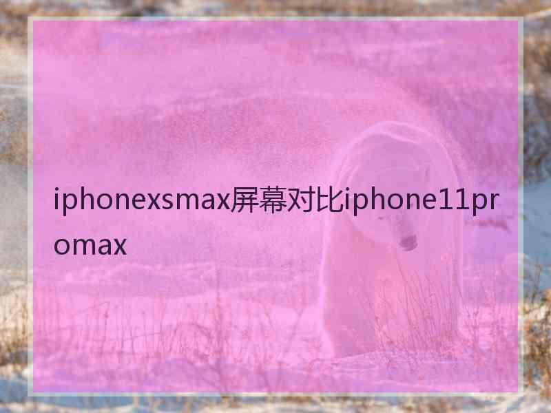 iphonexsmax屏幕对比iphone11promax