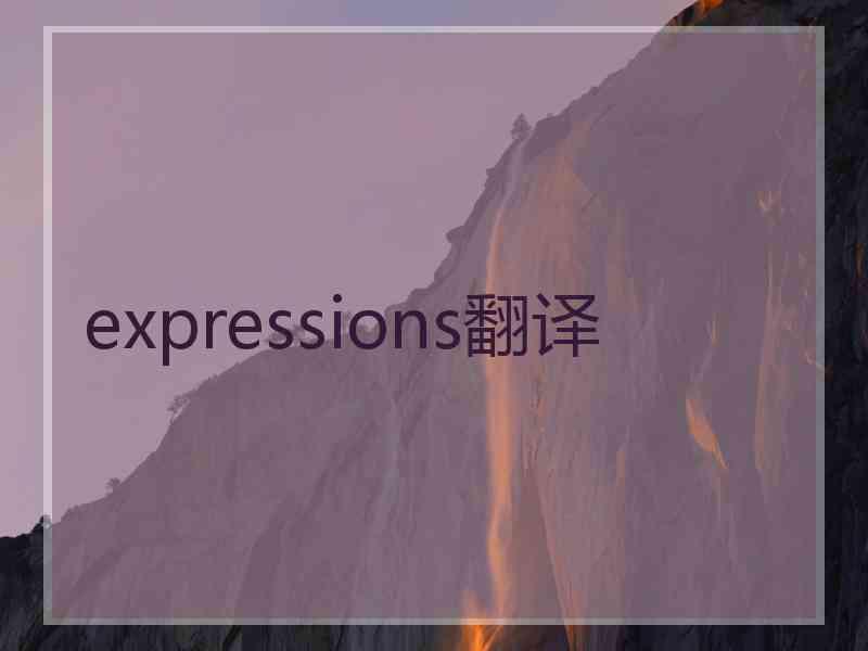 expressions翻译