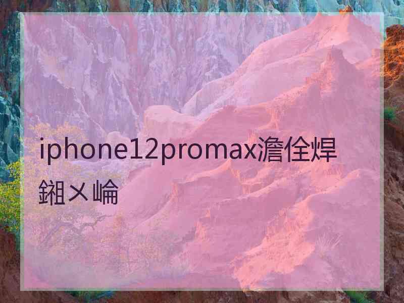 iphone12promax澹佺焊鎺ㄨ崘