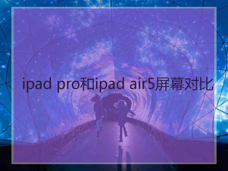 ipad pro和ipad air5屏幕对比